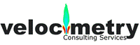 Velocimetry Consulting Services
