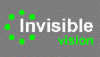 Invisible Vision